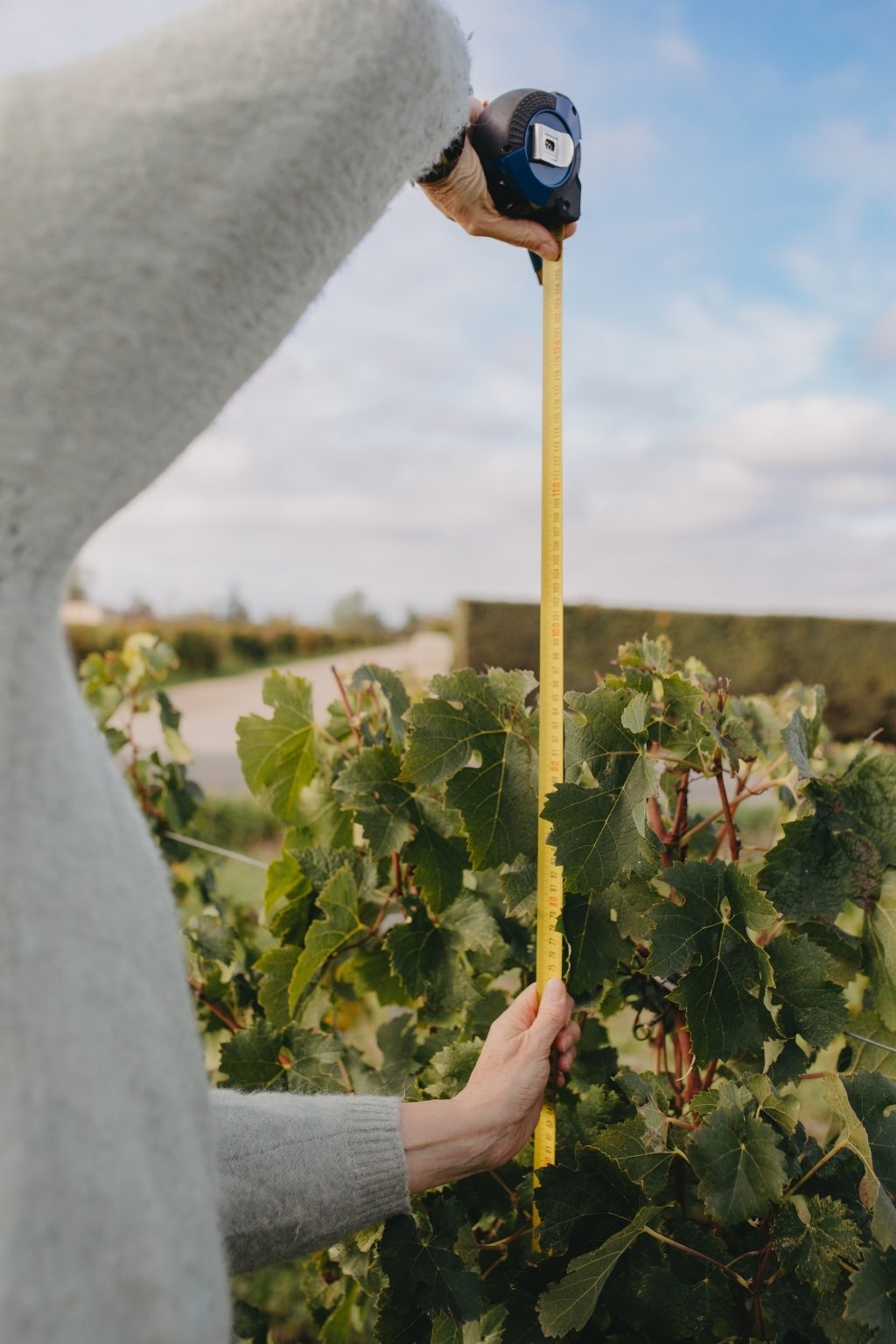 Expertise agricole