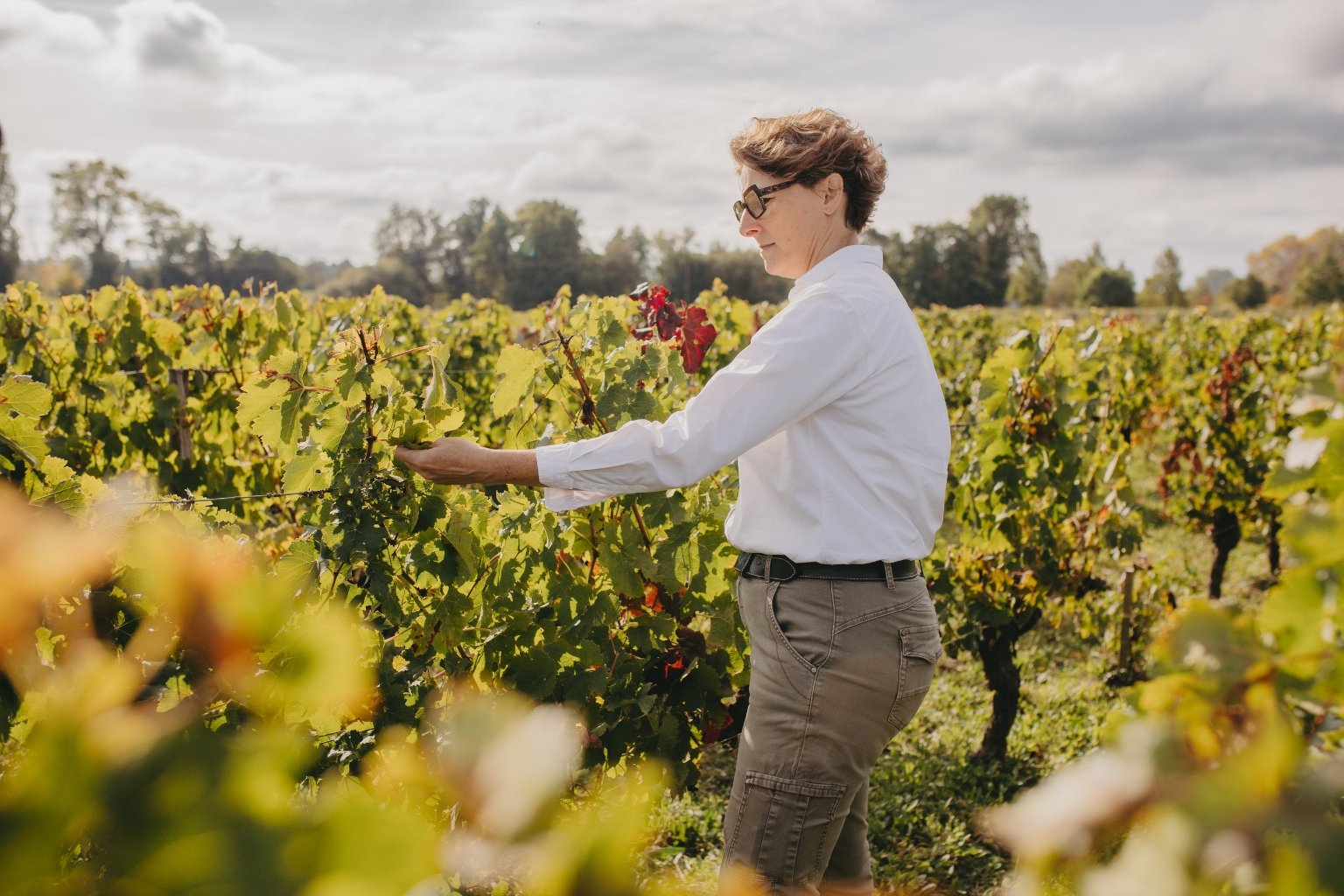 Expert foncier & agricole